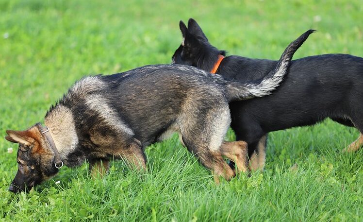 IMG_6201-BorderMaker